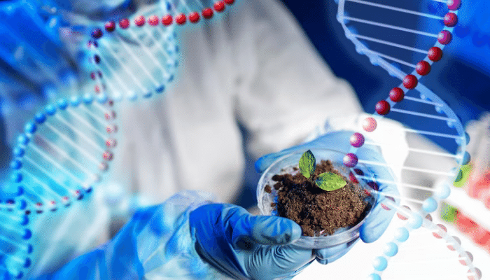 Lesson 11: Foundations of Biology - Summary of Terminologies